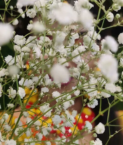 Paneri Beauty Parlour SPA & Institute