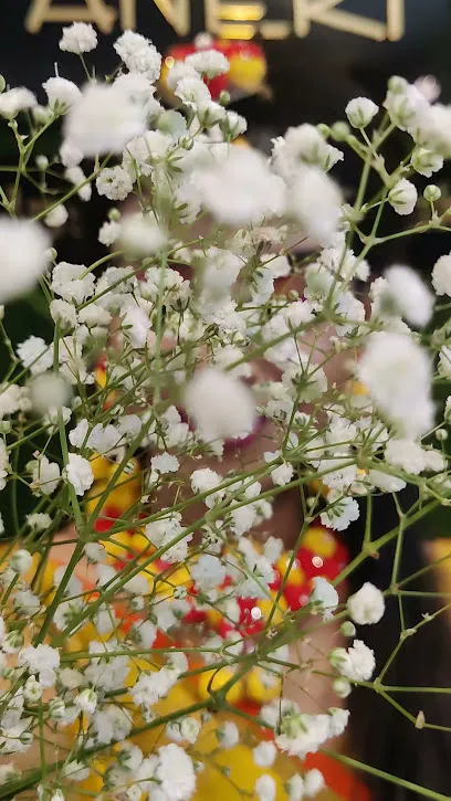 Paneri Beauty Parlour SPA & Institute