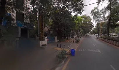 Sri Sadhguru Sai Jyotish Best Astrologer in Pune