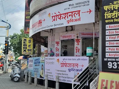 The Professional Couriers